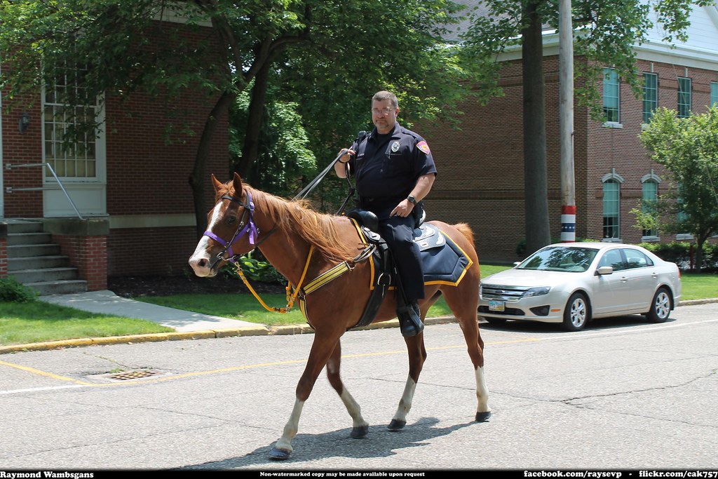 Hiram Ohio Police Mounted Unit