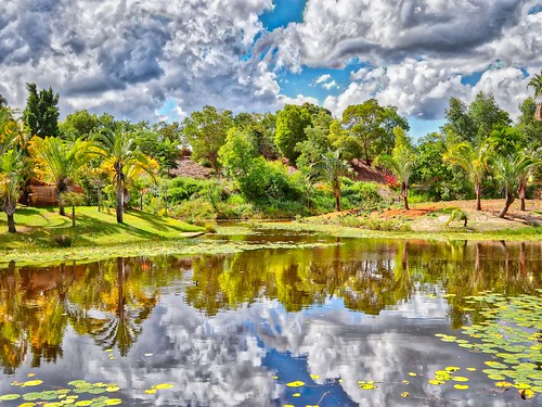 attraction australiazoo canon canonaustralia canoncollective conservation hinterland nature queensland wildlife zoo animals igersaustralia beerwah australia au