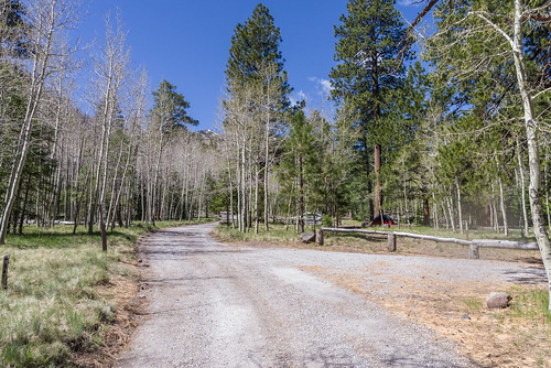 arizona coconinonationalforest flagstaffrangerdistrict forestservice lockettmeadow lockettmeadowcampground nationalforest pentaxk1 sanfranciscopeaks usfs flagstaff forest outdoors spring unitedstates