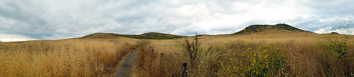 cityofirvineopenspace quailhill irvine california photo digital spring morning panorama grassland meadow hills trail