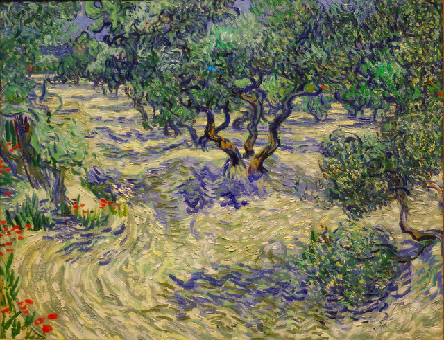 Olive Trees - van Gogh