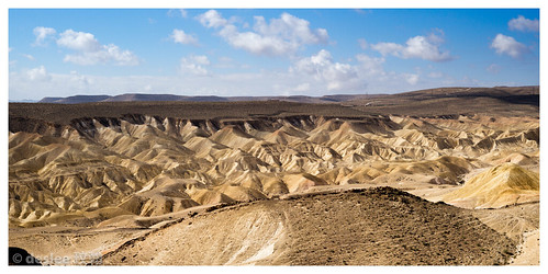 desert by deslee74, mitzperamon southdistrict israel il leica 50mm summicron desert sand