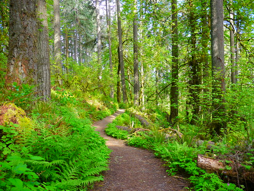 Ridgeline Trail From Willamette Trailhead in Eugene, Oregon