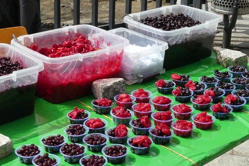 iran persia sweet berries hamadan gandjnameh