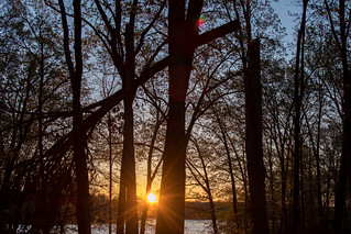Lake Sara Sunrise