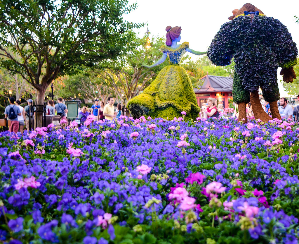 Back of Beauty Beast topiary Epcot
