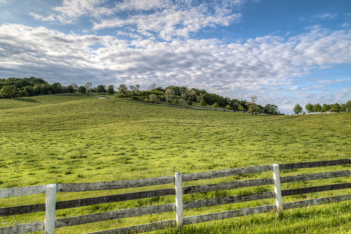 virginia farm landscape pastoral pasture sunrise delaplane unitedstates us