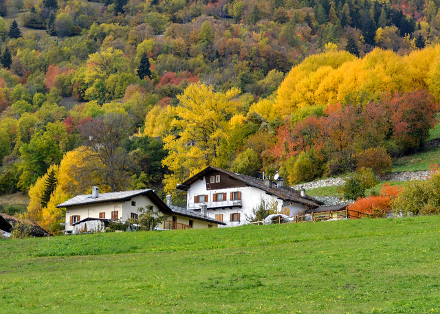 Colori d'autunno in Val d'Aosta