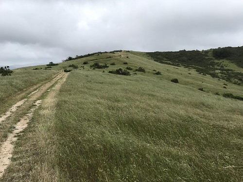 Elevation of Nason Rd, Carmel Valley, CA, USA - MAPLOGS