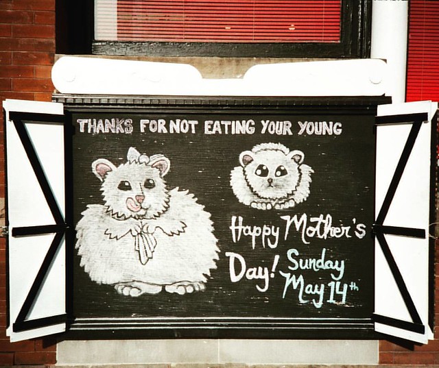 Thanks Mom! 😘💕 #HappyMothersDay to all those #awesomekickass moms out there!  #OuterLayer #chalkboard #QueenStreetWest #humour #drawing #love #family #mom #mama #mother #ma #mommy