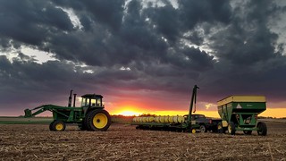 Planting Soybeans at Sunset