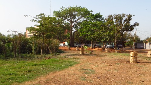 africa guineabissau park green