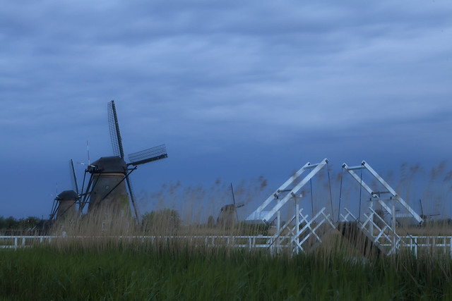 Blue hour windmills