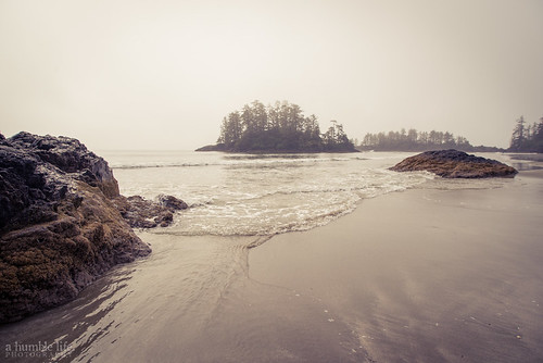 beach fog landscape mist ocean reflection sand schoonercove silhouette tofino trees water britishcolumbia canada ca