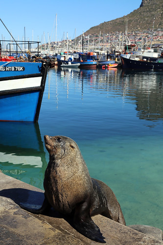 Cape Town