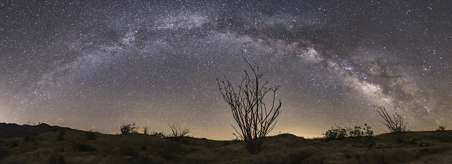 Milky Way Over the Ocotillo in Fonts Wash