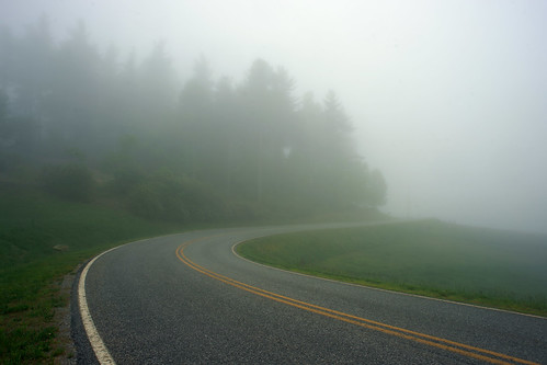 mist nebel landscape trees northcarolina