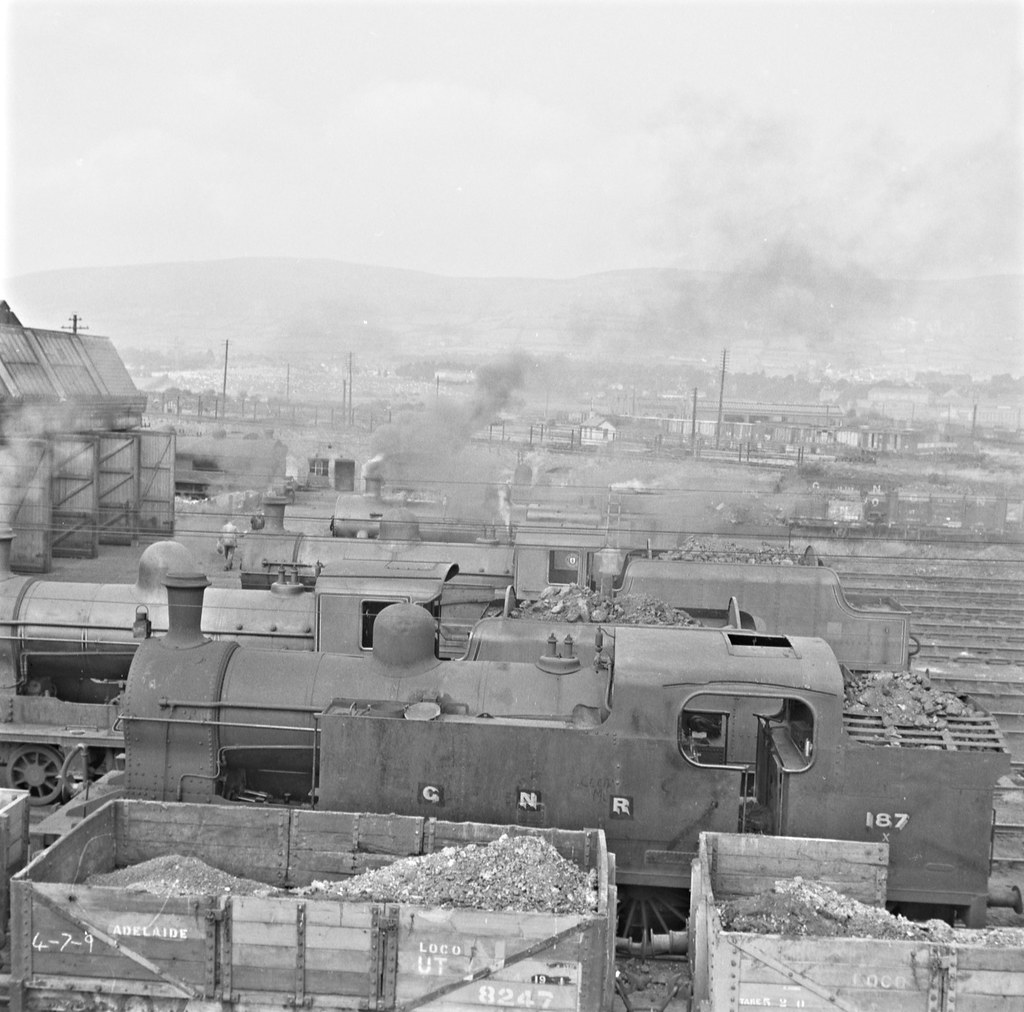 Trains lined up at sheds, Adelaide, Co. Antrim.