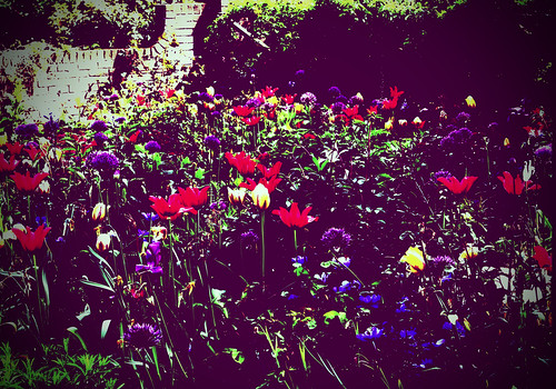Wollerton old hall gardens.