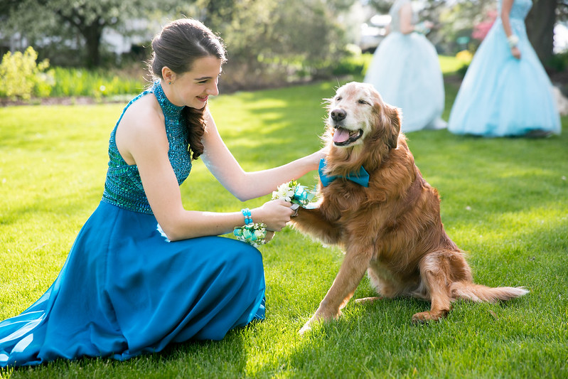 PHS Prom '17 | Flickr
