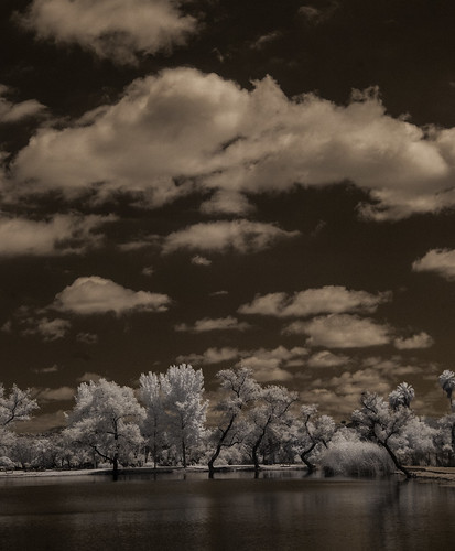 santeelakes convertedinfraredcamera infrared ir water trees clouds sky highcontrast composition