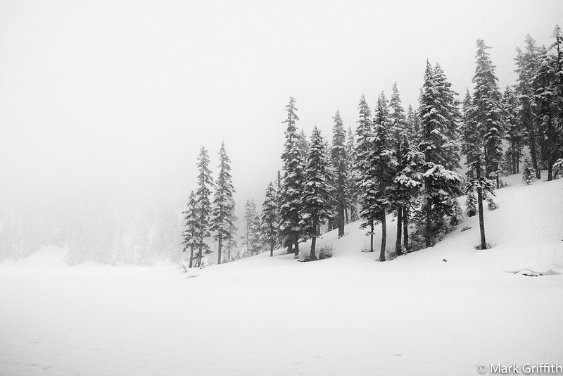 Spring Time in the Mountains