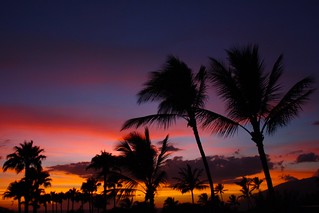 Vibrant Sunset on Beaches of Maui 4