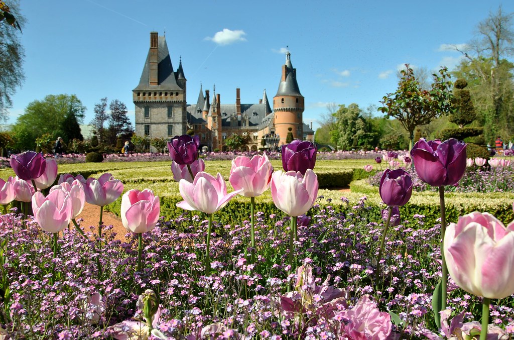 Les tulipes du Château de Maintenon