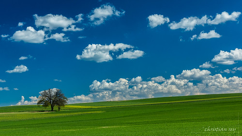 mannens cultures blé arbres nuages printemps frühling swiss suisse broye fribourg sony alpha 77 1650 campagne agriculture schweiz switzerland fribourgoise landscape paysage spring clouds trees