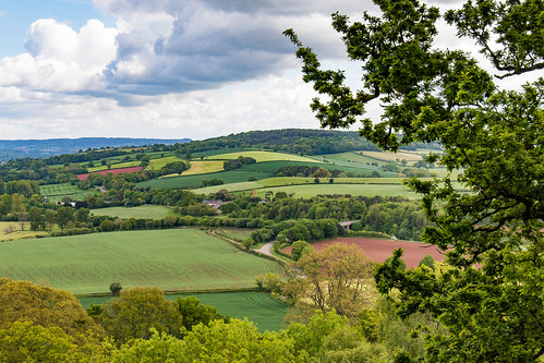 devon landscape killerton hill tree field farm countryside patchwork cloud outdoor nationaltrust england english