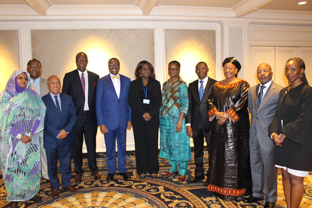 Meeting with African Governer of AfDB.