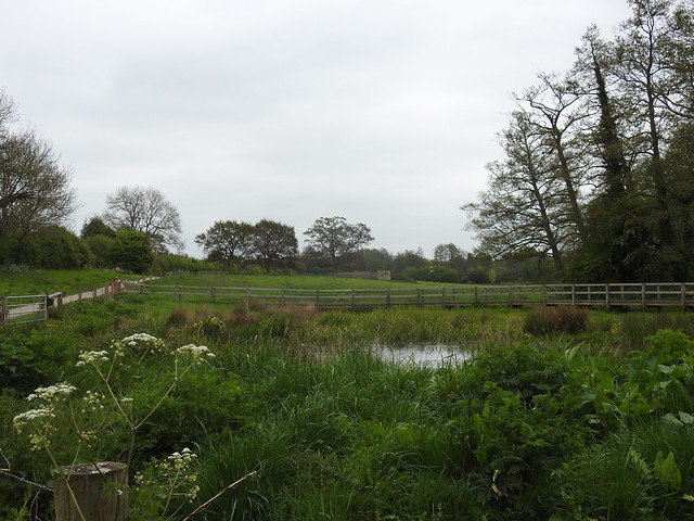 Wetland, Chesworth Farm, Horsham.