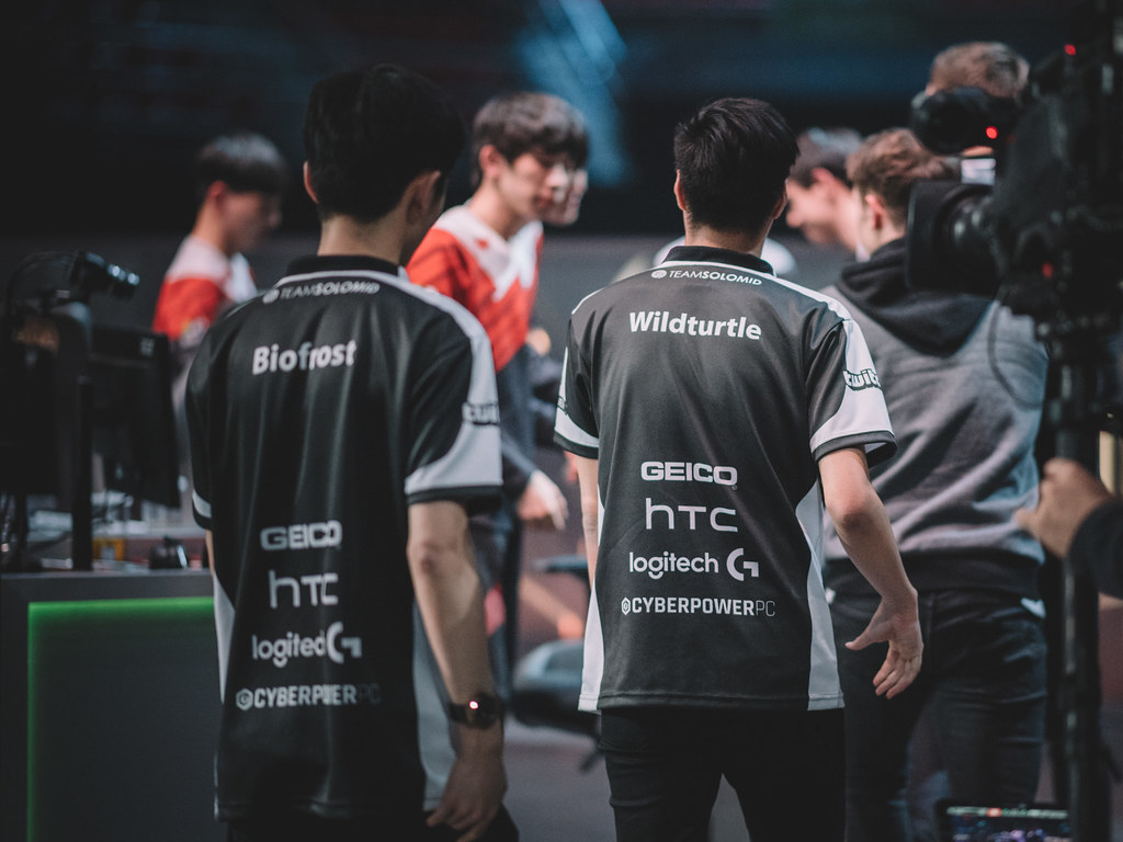 TSM WILDTURTLE