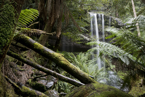 sony alpha a99ii tasmania 1635mm ziess russel falls forest green waterfall ilca99m2