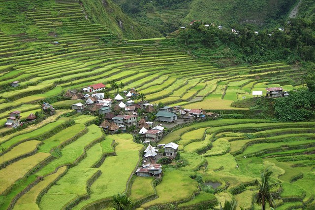 Incredible beauty the terraced rice fields in Luzon