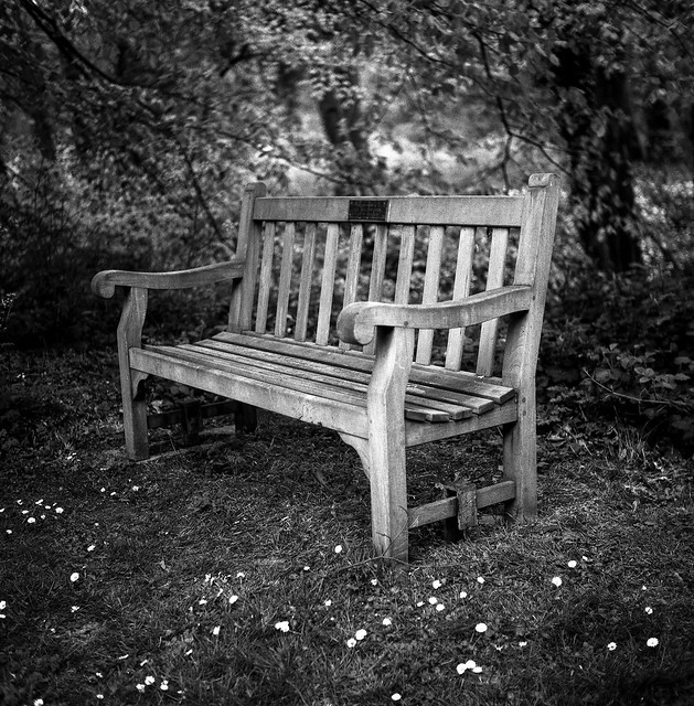 FILM - A seat amongst the daisies