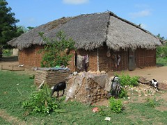Tanzania Village House