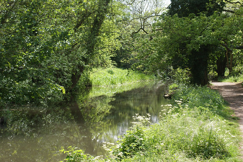 Close to the River Darent SONY DSC
