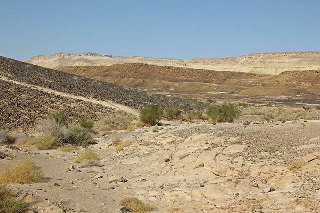 In the Ramon Crater, Negev Desert
