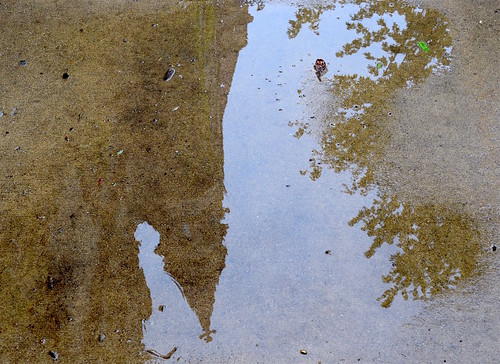 Gothic tower in puddle