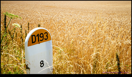 france wheat eurotrip fr milestone 2015 poitoucharentes saulgond