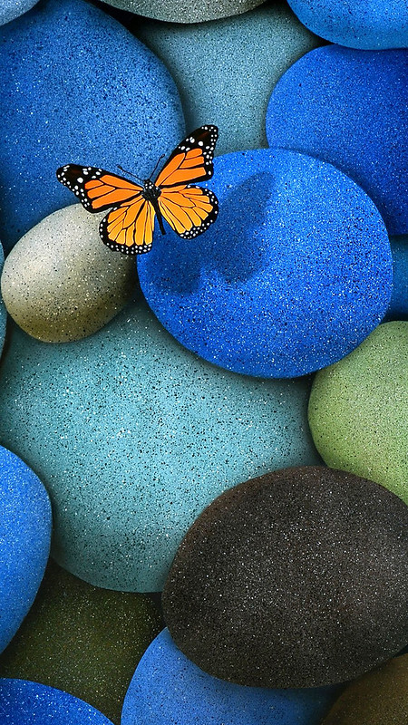 Butterfly and Stone iOS Wallpaper | Really want to get beaut… | Flickr