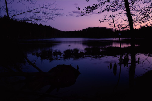 pond twilight dark nature outdoors purple shadows calm tree dirt nashua new hampshire newhampshire newengland lovewellpond