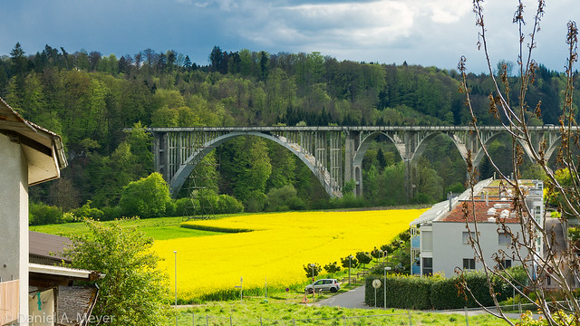Brücke bei Herrenschwanden Bern - Rapsfeld im Abendlicht / Bridge near Berne, Switzerland with rape field