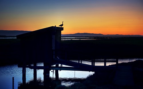 alviso california sanjose siliconvalley sanfranciscobay sanfranciscobayarea day clear dusk bay outdoor sky sunset shed silhouette bird birdsilhouette donedwardssanfranciscobaynationalwildliferefuge donedwardsnationalwildliferefuge donedwards wildliferefuge minimalist minimalism 1xp raw nex6 photomatix selp1650 hdr qualityhdr qualityhdrphotography fav200