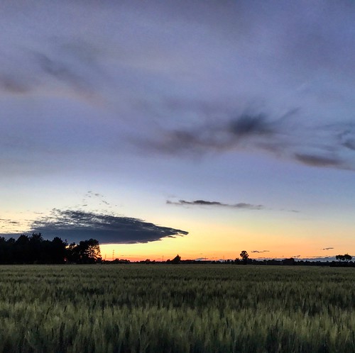 #campagna mantovana by thefacri, campagna