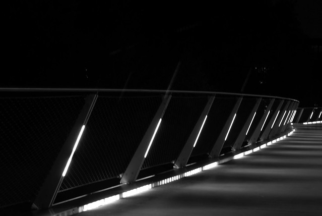 living bridge by night