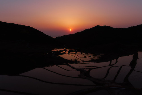 japan paddy water sunset landscape nagasaki