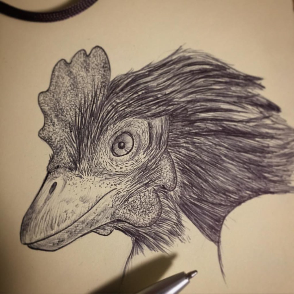 Sketching a mind possibility of Dr. Horner's Chickenosaurus. #jackhorner #jurassicpark #jurassicworld #ornithology #bird #sketch #sketching #sketchbook #dinosaur #theropod #paleontology #paleoart #evolution #charlesdarwin #chicken #chickenosaurus #genetic