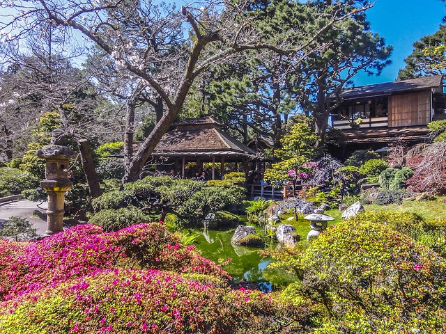 Japanese Tea Garden San Francisco California